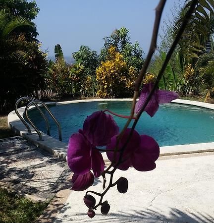 West Bali Villas-Umasari Resort Negara  Екстериор снимка