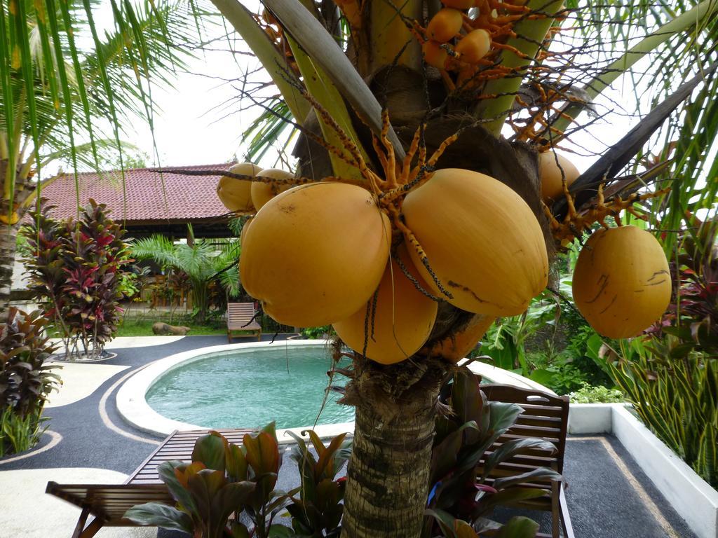 West Bali Villas-Umasari Resort Negara  Стая снимка