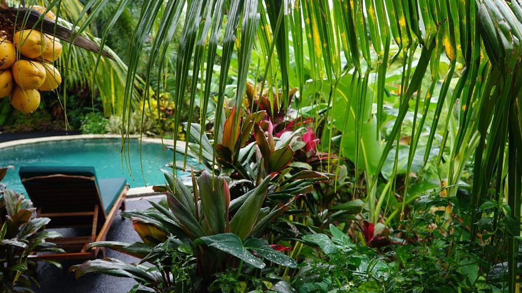 West Bali Villas-Umasari Resort Negara  Екстериор снимка