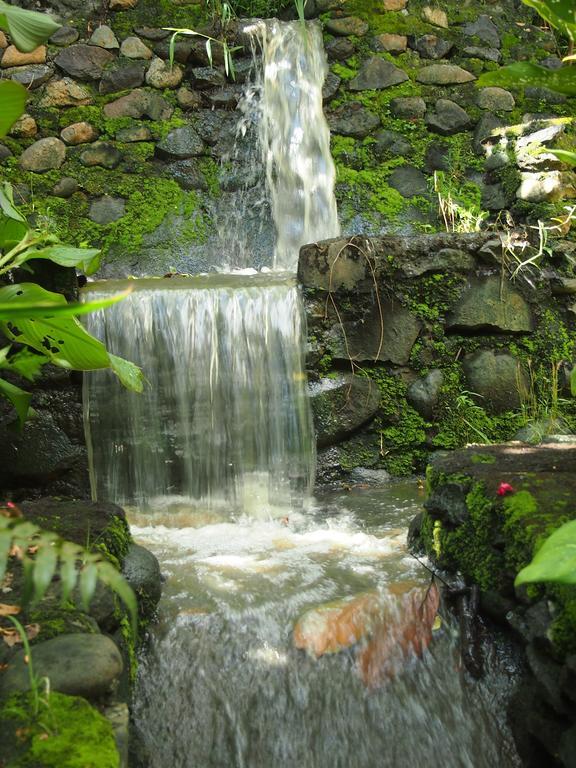West Bali Villas-Umasari Resort Negara  Екстериор снимка