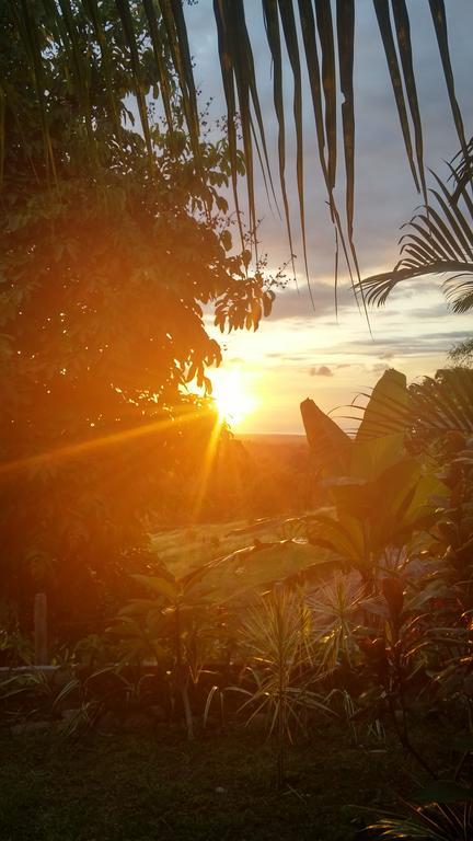 West Bali Villas-Umasari Resort Negara  Екстериор снимка
