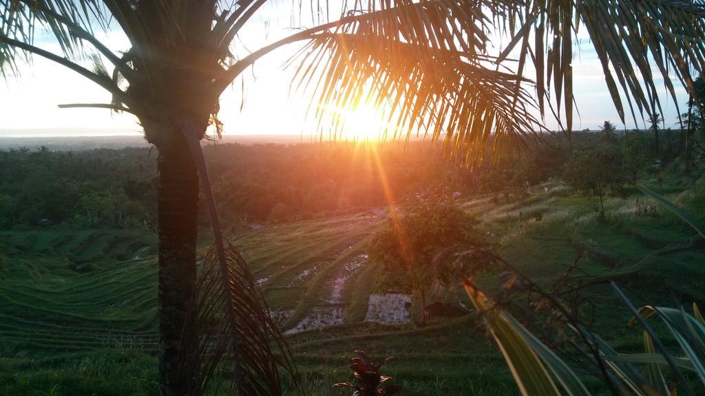 West Bali Villas-Umasari Resort Negara  Екстериор снимка