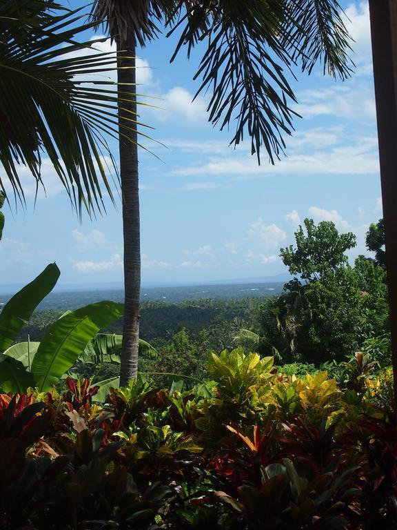 West Bali Villas-Umasari Resort Negara  Екстериор снимка