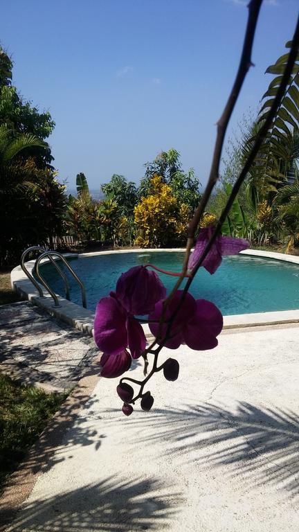 West Bali Villas-Umasari Resort Negara  Екстериор снимка